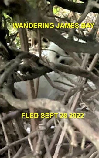 HAPPY ENDINGS - VICTORIA BC. / SEPT 28, 2022