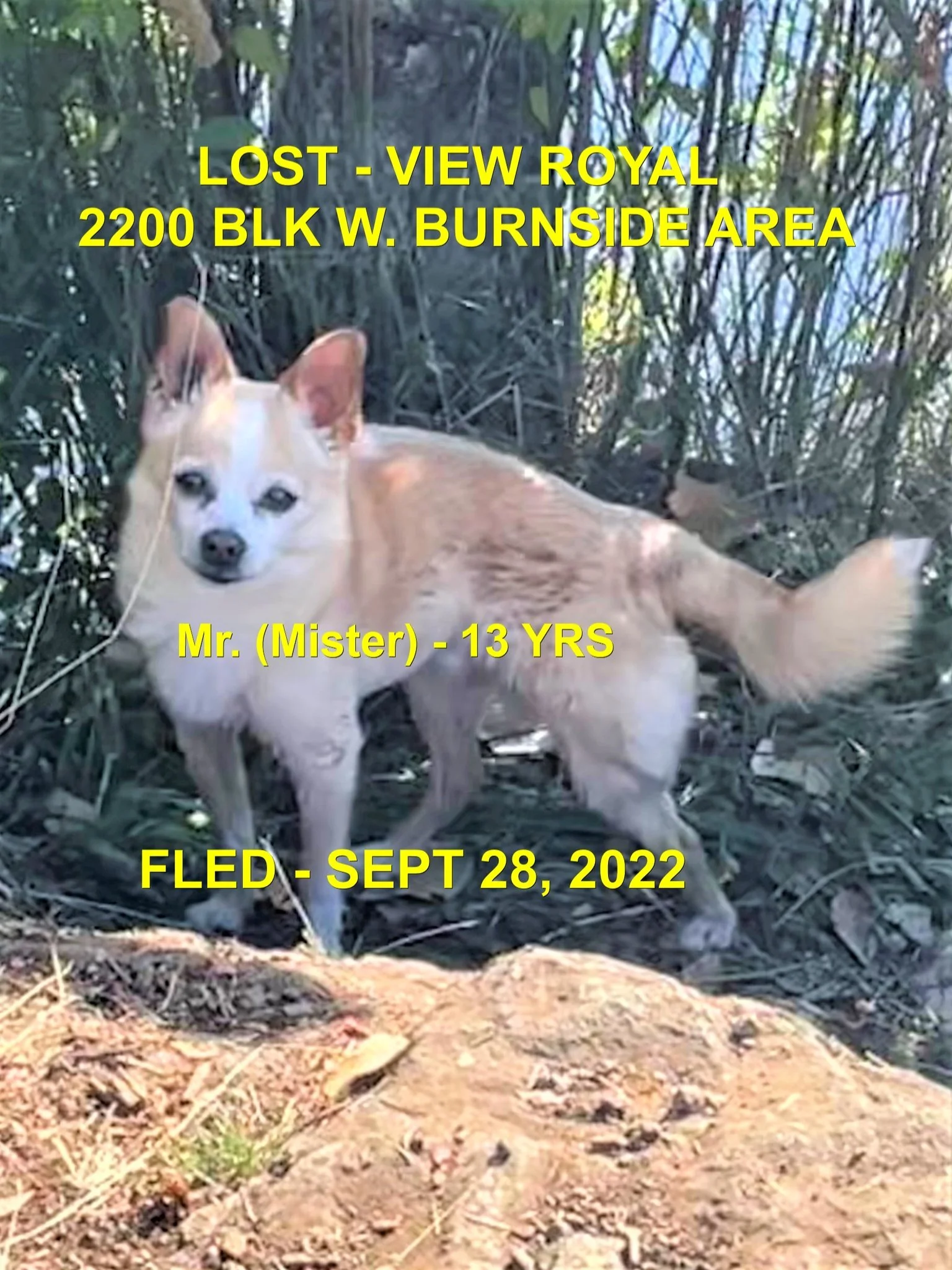 HAPPY ENDINGS - VIEW ROYAL BC. / MR. MISTER / SEPT. 28, 2022