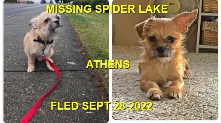 HAPPY ENDINGS - QUALICUM BEACH  BC. / ATHENS / SEPT. 27, 2022