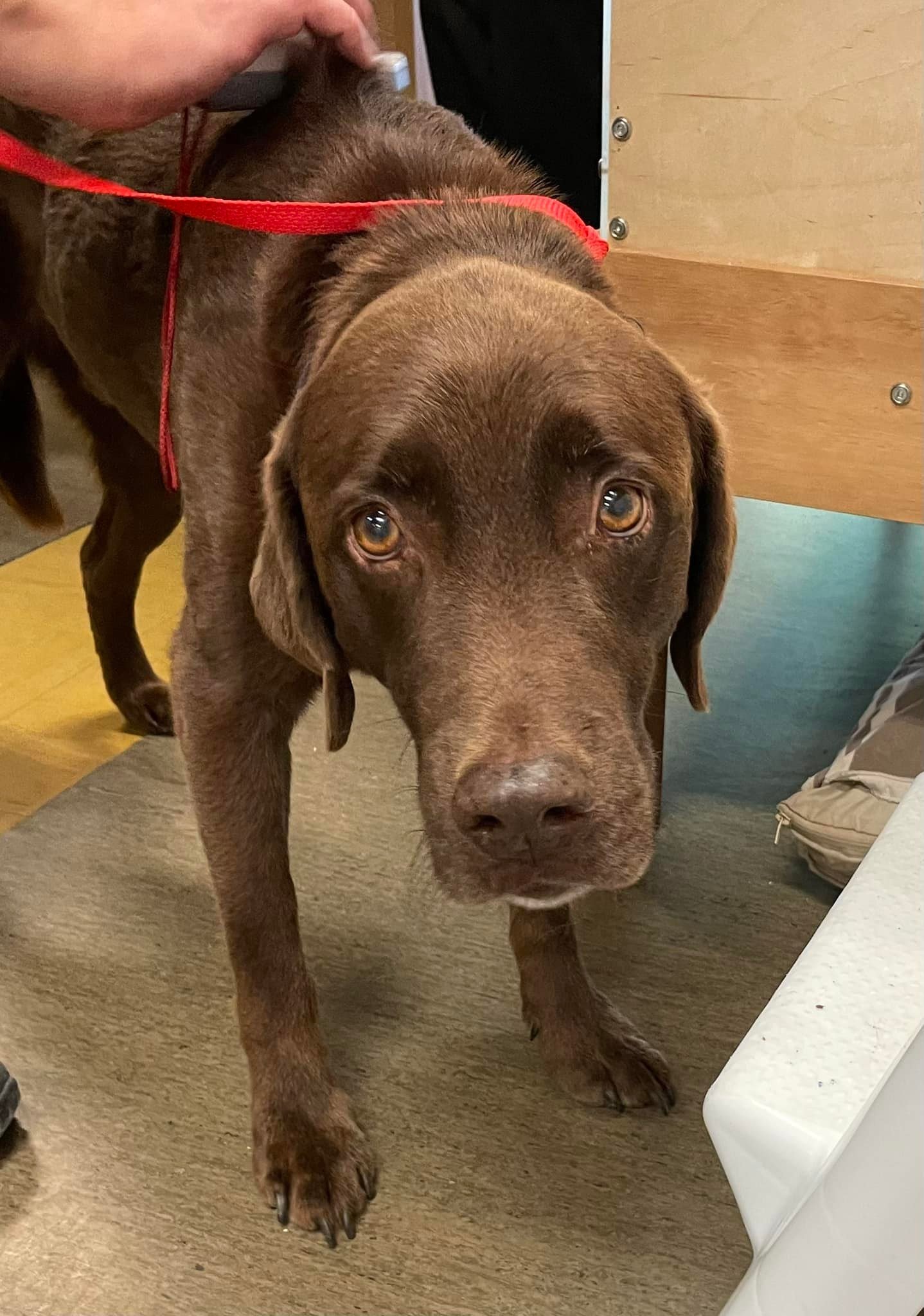GONE TO SHELTER / HAPPY ENDINGS - NANAIMO BC. / BENSON / SEPT 26, 2022