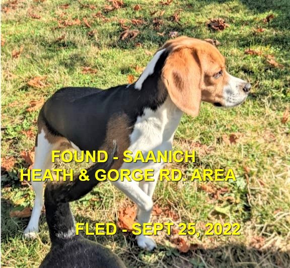 HAPPY ENDINGS - SAANICH BC. / SEPT 25, 2022