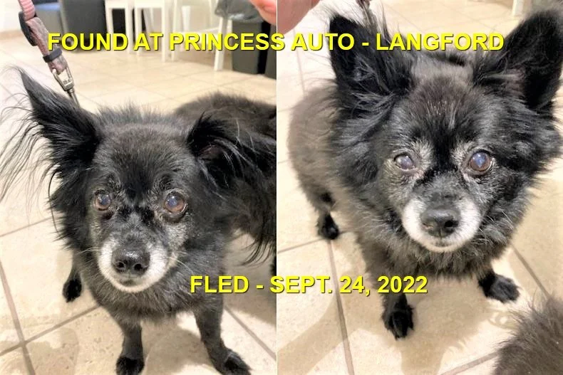 HAPPY ENDINGS - LANGFORD BC. / SEPT. 24, 2022