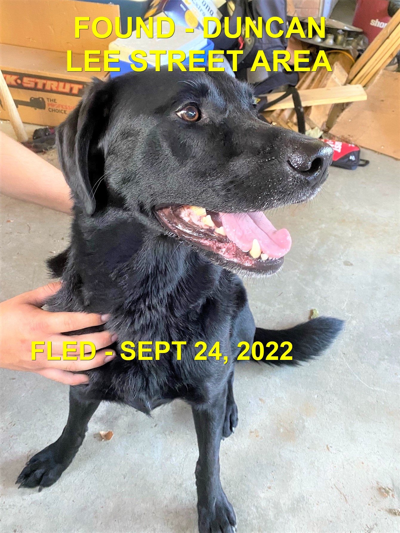 HAPPY ENDINGS - DUNCAN BC. / SEPT 24, 2022