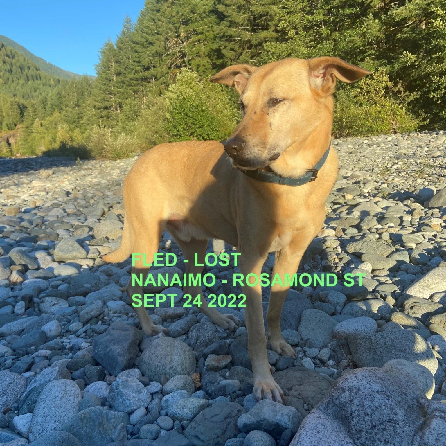 GONE TO SHELTER / HAPPY ENDINGS - NANAIMO BC. / BANDIT / SEPT 24, 2022