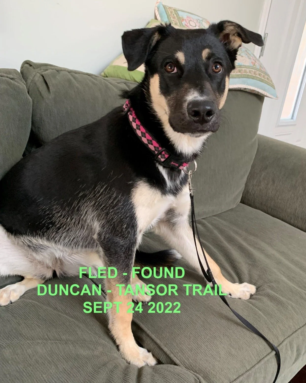 HAPPY ENDINGS - DUNCAN BC. / LUCY / SEPT 24, 2022