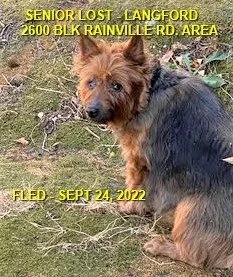 HAPPY ENDINGS - LANGFORD BC. / SYDNEY / SEPT. 24, 2022