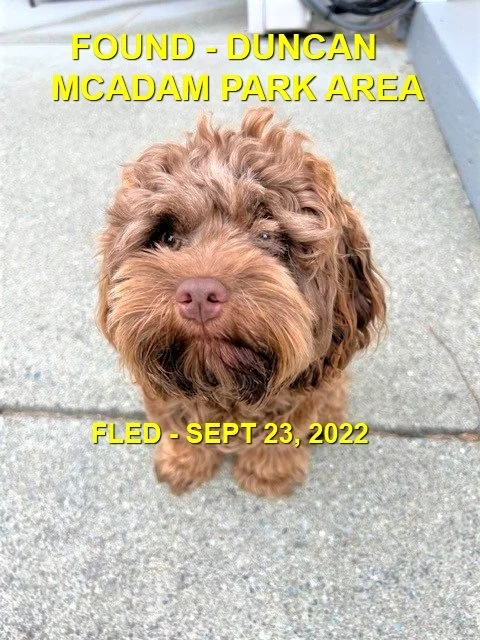 HAPPY ENDINGS - DUNCAN BC. / STELLA / SEPT 23, 2022