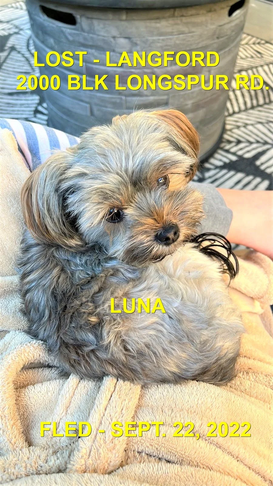 HAPPY ENDINGS - LANGFORD BC. / LUNA / SEPT 22, 2022