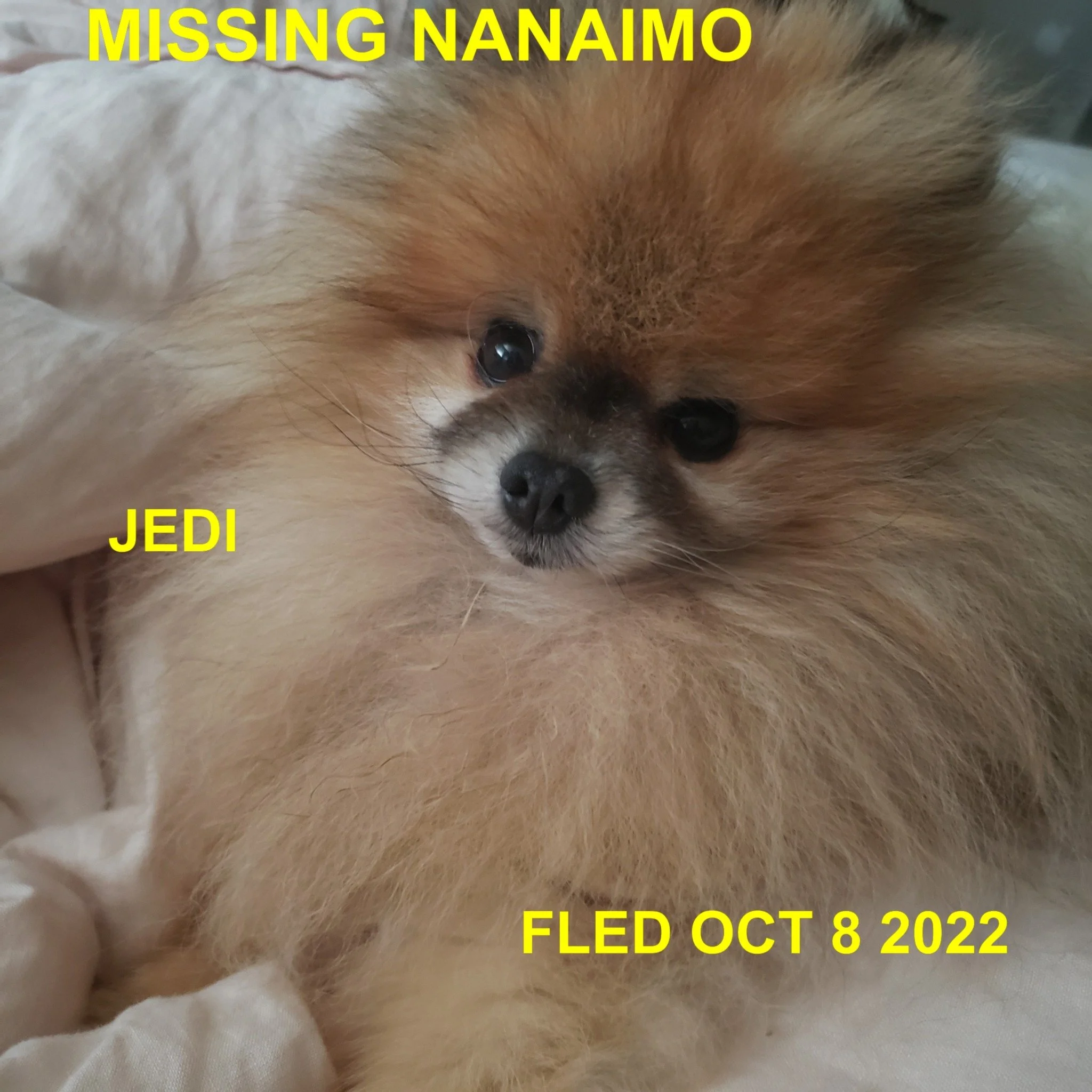 HAPPY ENDINGS - NANAIMO BC. / JEDI / OCT. 8, 2022