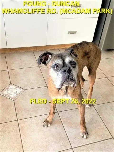 GONE TO SHELTER / HAPPY ENDINGS - DUNCAN BC. / HENRY / OCT. 8, 2022