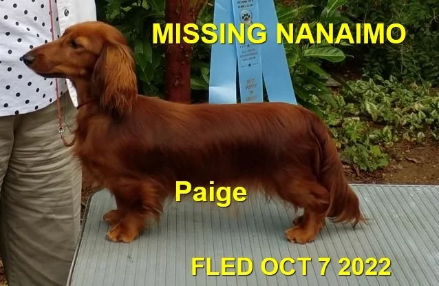 HAPPY ENDINGS - NANAIMO BC. / PAIGE / OCT 6, 2022