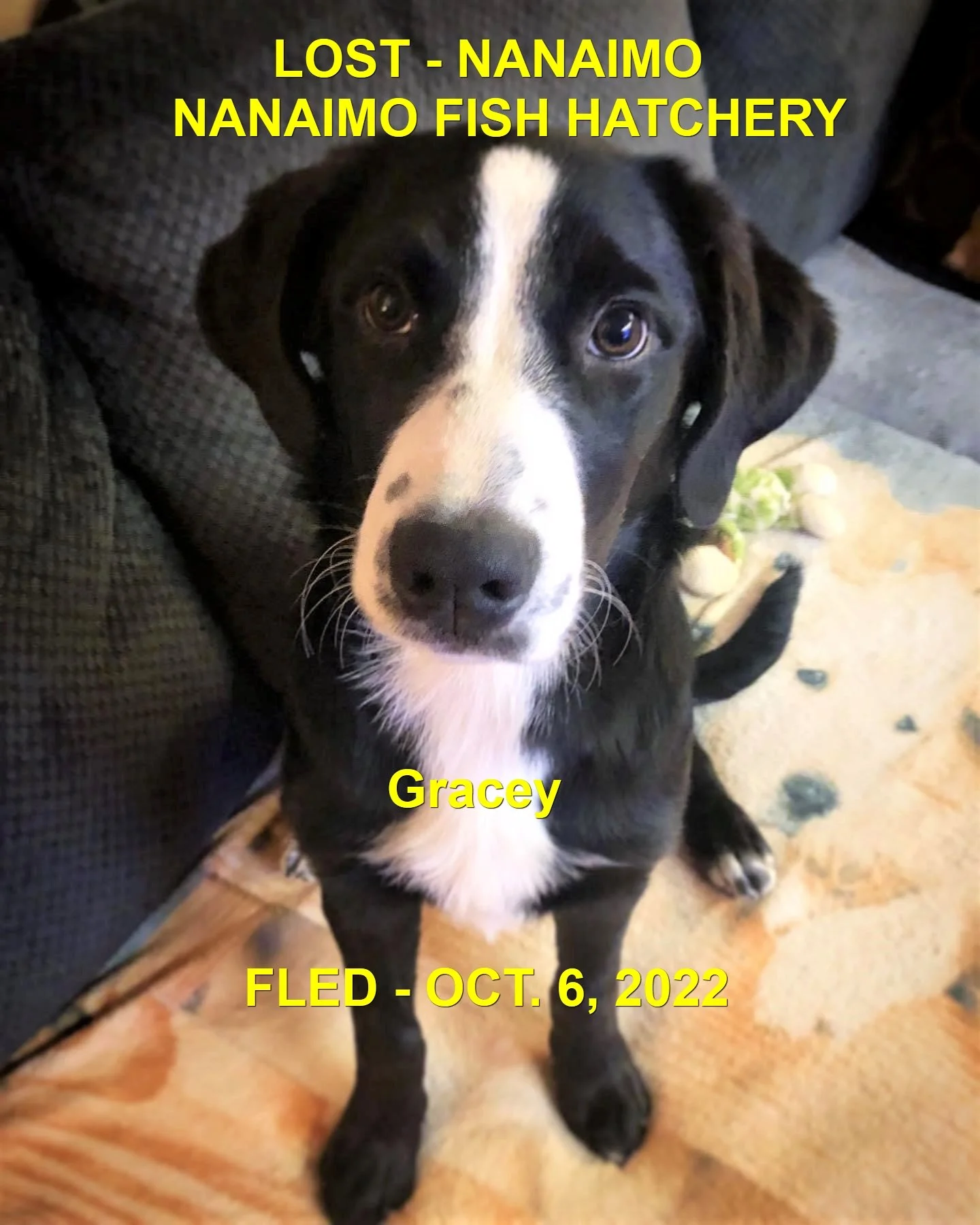 HAPPY ENDINGS - NANAIMO BC. / GRACEY / OCT. 6, 2022