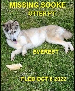 HAPPY ENDINGS - SOOKE BC. / EVEREST / OCT. 6, 2022