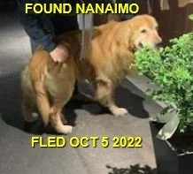 HAPPY ENDINGS - NANAIMO BC. / OCT. 4, 2022