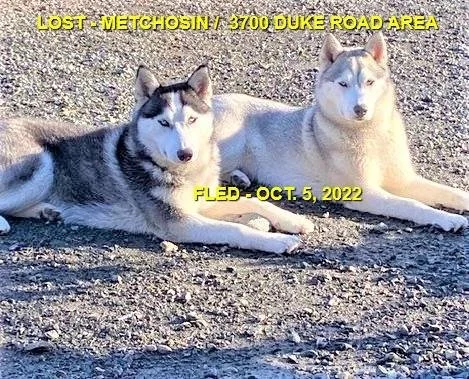 HAPPY ENDINGS - METCHOSIN BC. / ROXIE &amp; MEESHA / OCT. 5, 2022