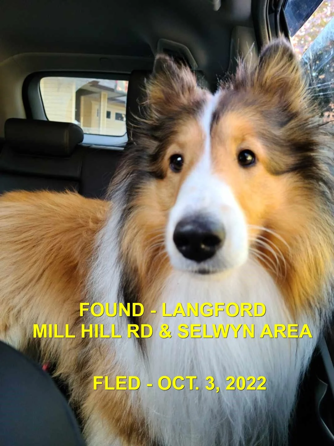 HAPPY ENDINGS - LANGFORD BC. / OCT. 3, 2022