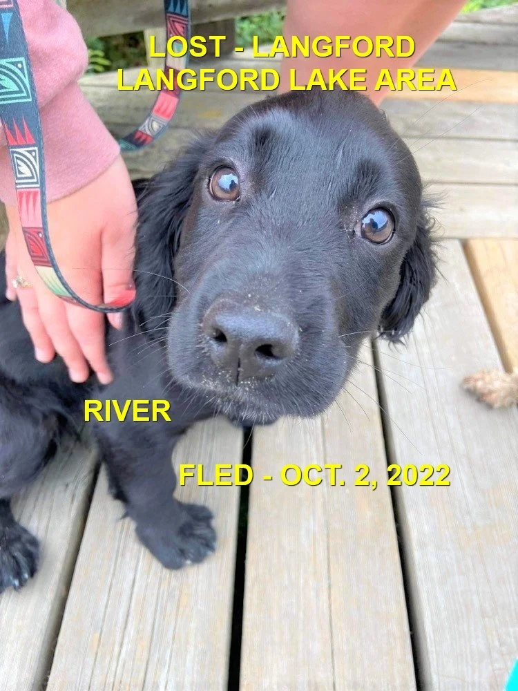 HAPPY ENDINGS - LANGFORD BC. / RIVER / OCT. 2, 2022
