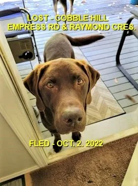 HAPPY ENDINGS - COBBLE HILL BC. / CHARLIE BROWN / OCT 2, 2022