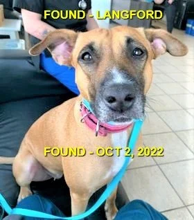 GONE TO SHELTER - LANGFORD BC. / OCT. 2, 2022