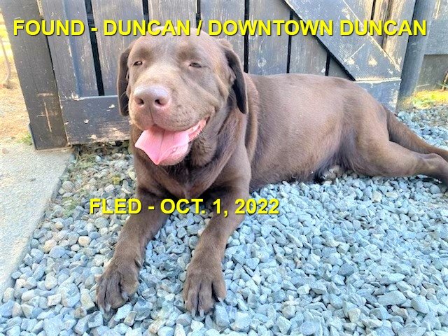 HAPPY ENDINGS - DUNCAN BC. / COCO / OCT. 1, 2022