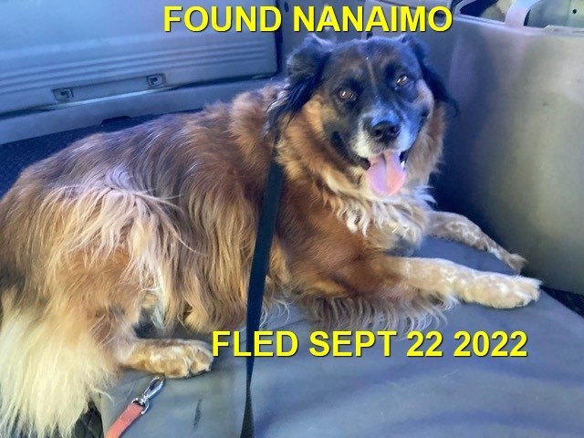 HAPPY ENDINGS - NANAIMO BC. / SEPT. 22, 2022