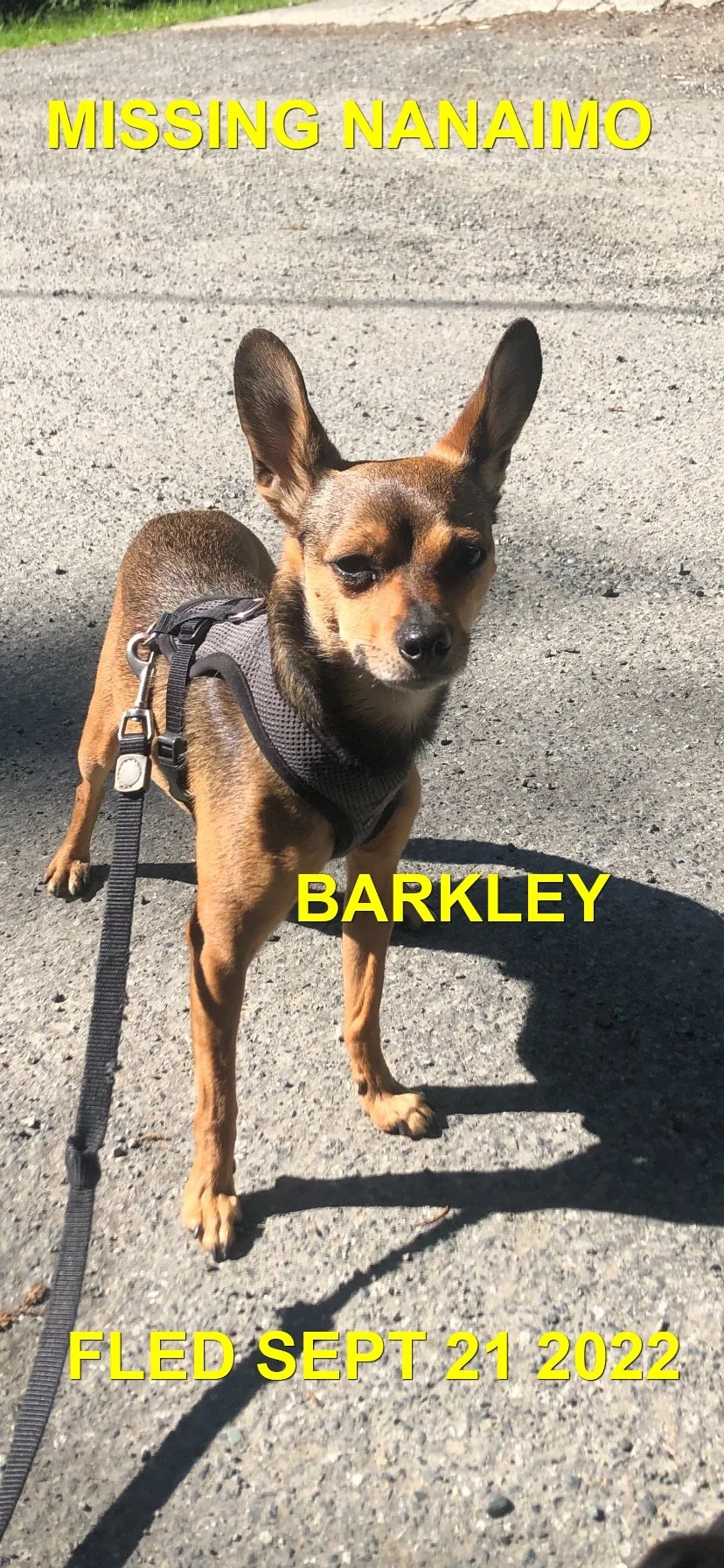 HAPPY ENDINGS - NANAIMO BC. / BARKLEY / SEPT 21, 2022