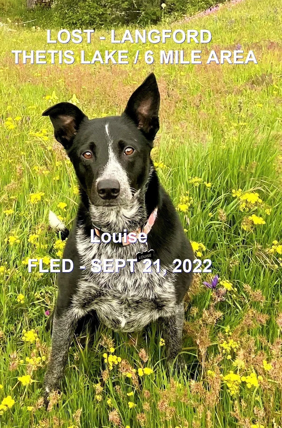 HAPPY ENDINGS - LANDFORD BC. / LOUISE / SEPT 21, 2022