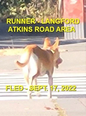 UNRESOLVED - LANGFORD BC. / SEPT 18, 2022
