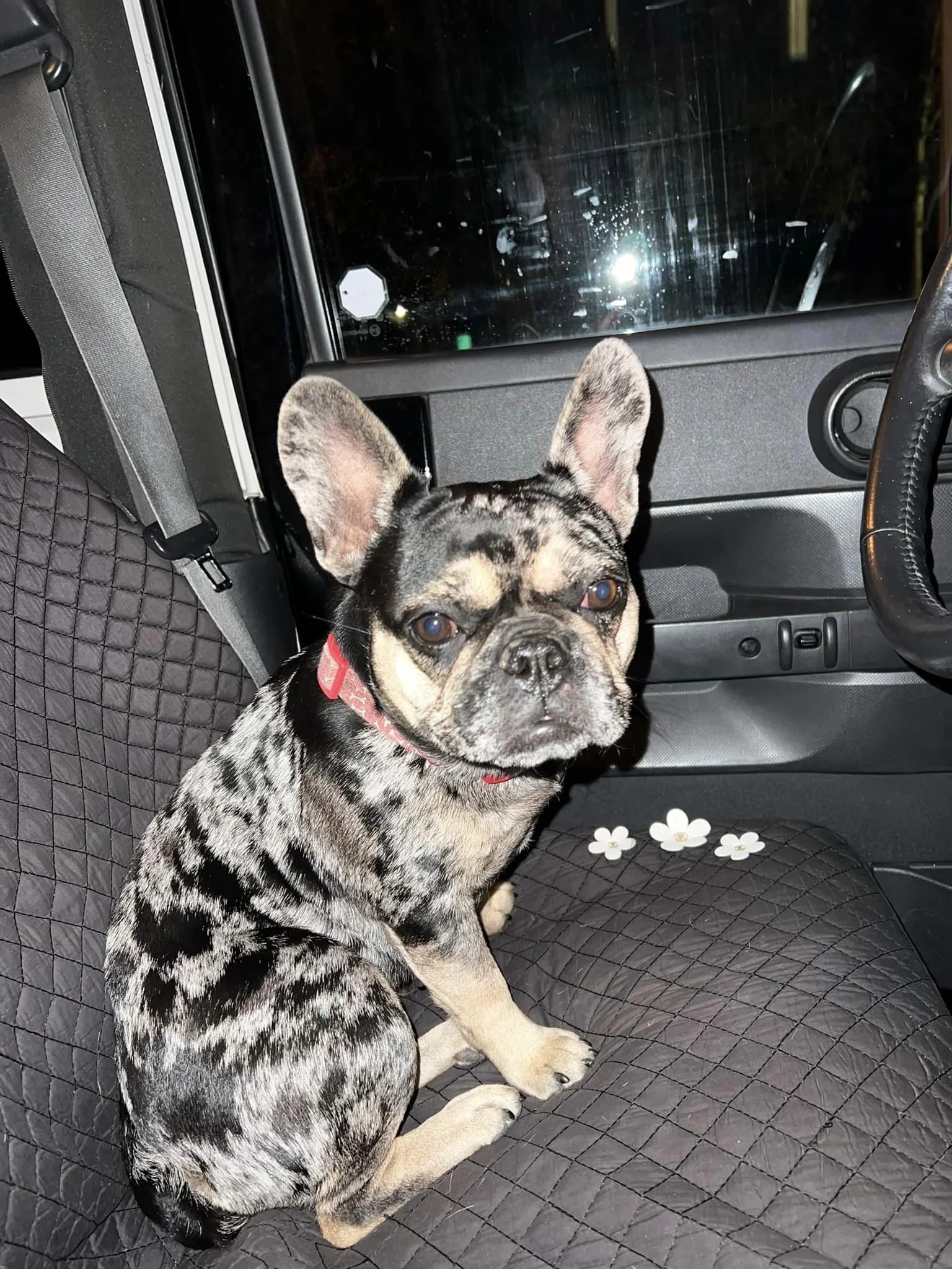 GONE TO SHELTER - HAPPY ENDINGS - DUNCAN BC. / SEPT 16, 2022