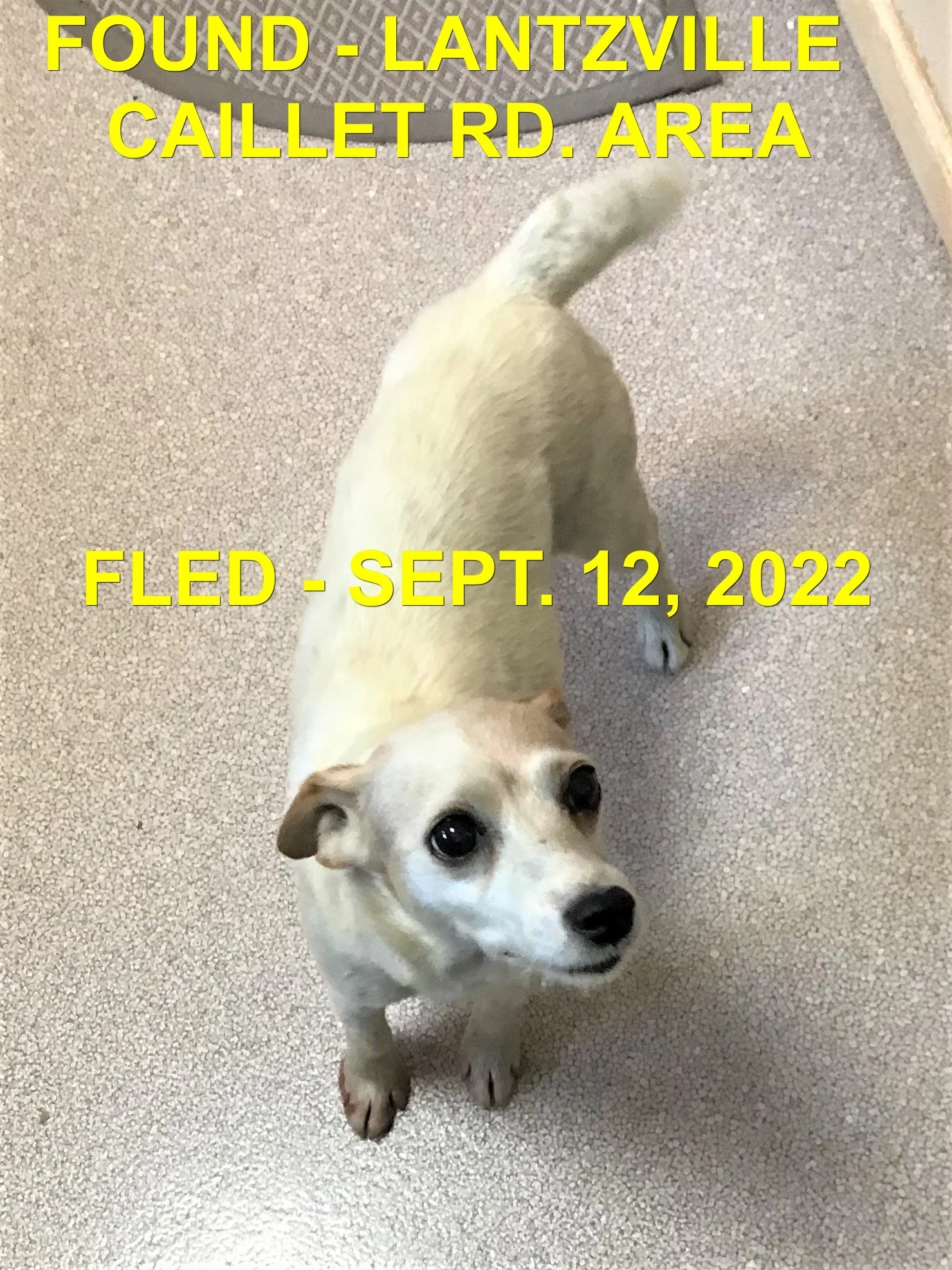 GONE TO SHELTER - HAPPY ENDINGS - DUNCAN BC. / SEPT 11, 2022