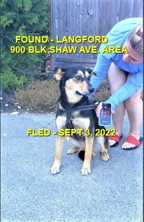 HAPPY ENDINGS - LANGFORD BC. / SEPT. 3, 2022