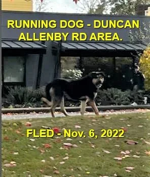 HAPPY ENDINGS - DUNCAN BC. / BLUE / NOV. 6, 2022