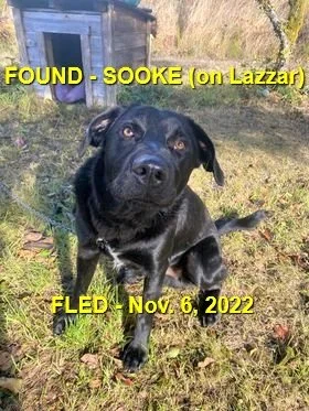 HAPPY ENDINGS - SOOKE BC. / NOV. 6, 2022