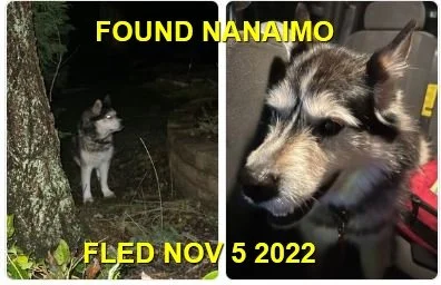 HAPPY ENDINGS - NANAIMO BC. / NOV. 5, 2022