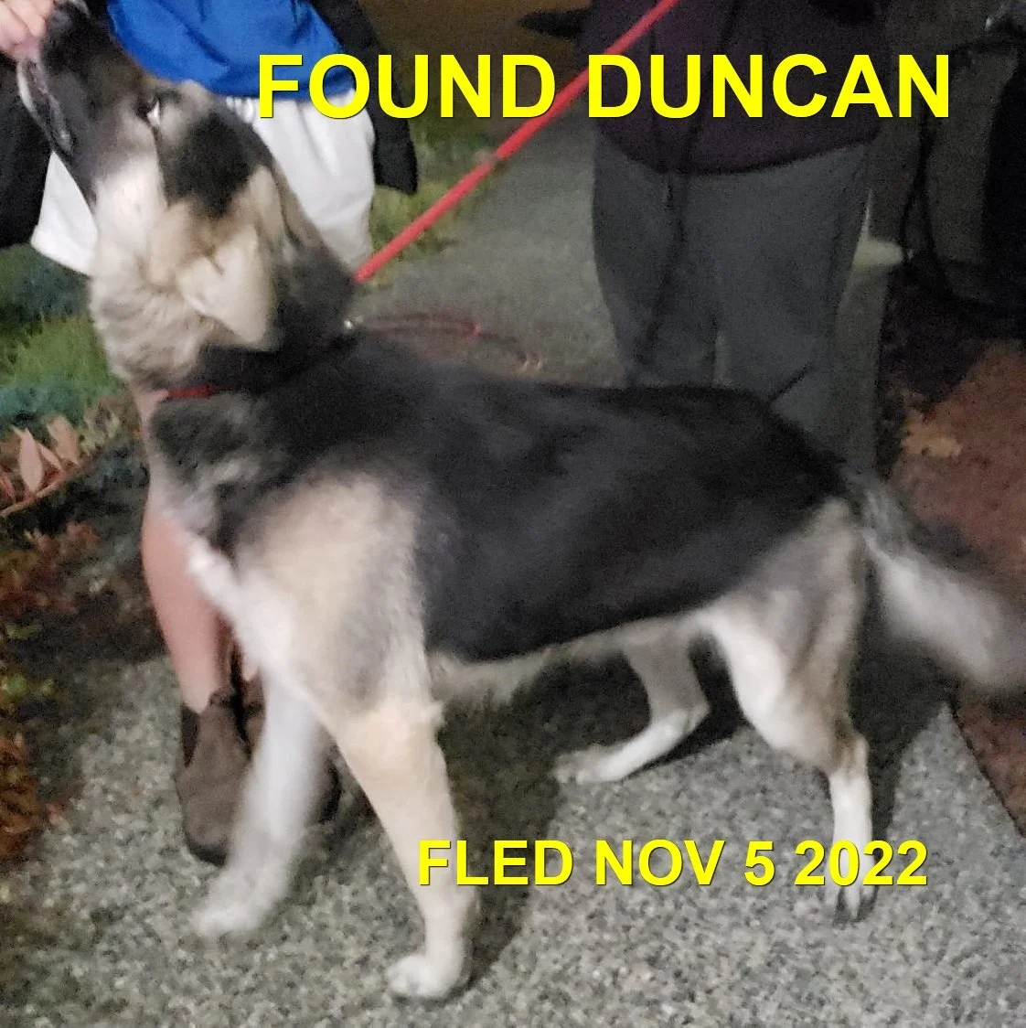 HAPPY ENDINGS - DUNCAN BC. / NOV. 5, 2022