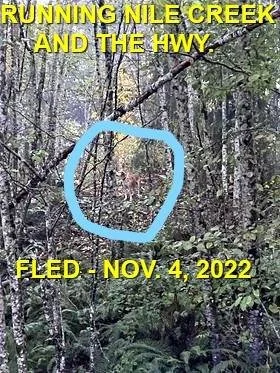 WENT HOME ON THEIR OWN - BOWSER BC. / NOV. 4, 2022