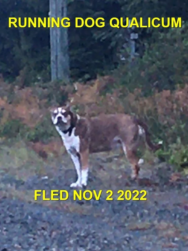 UNRESOLVED - QUALICUM BC. / NOV. 2, 2022