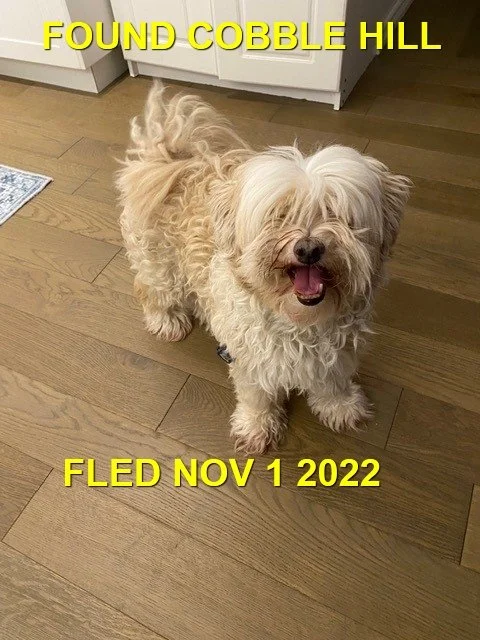 HAPPY ENDINGS - COBBLE HILL BC. / NOV. 1, 2022