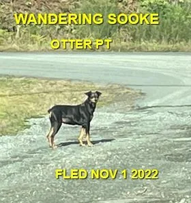 UNRESOLVED - SOOKE BC. / NOV. 1, 2022