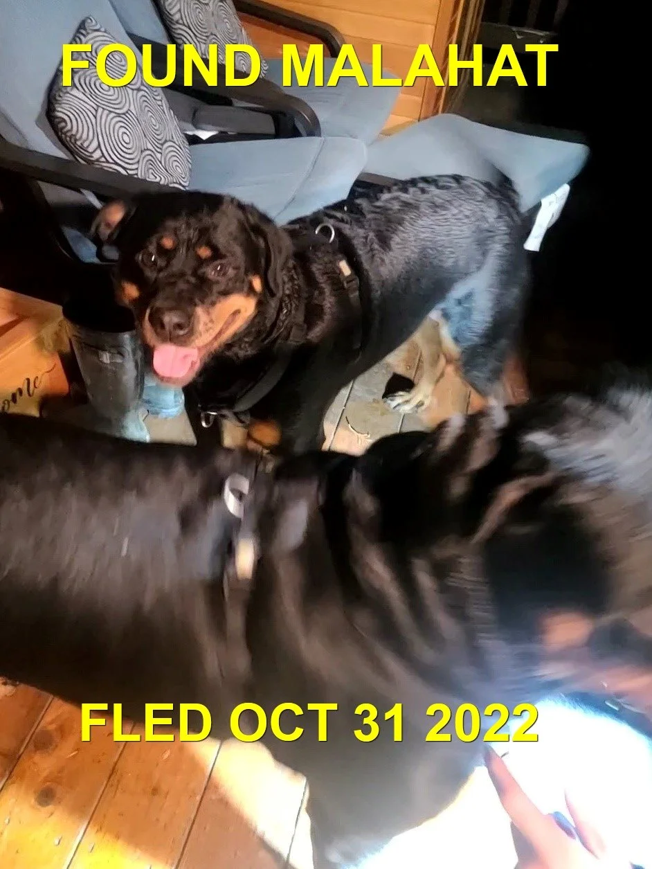 GONE TO SHELTER - HAPPY ENDINGS - MALAHAT BC. / OCT. 31, 2022