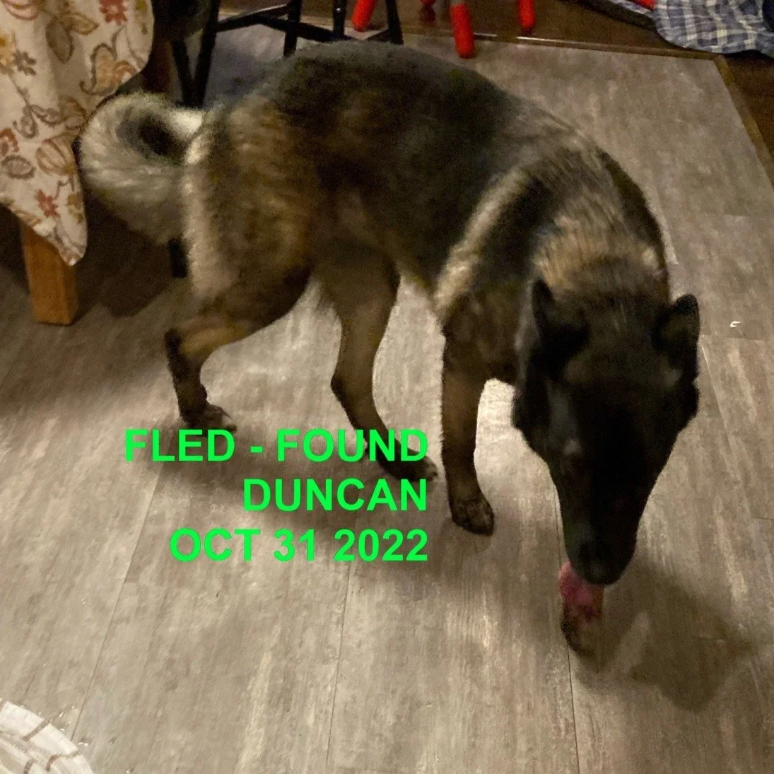 HAPPY ENDINGS - DUNCAN BC. / OCT. 31, 2022