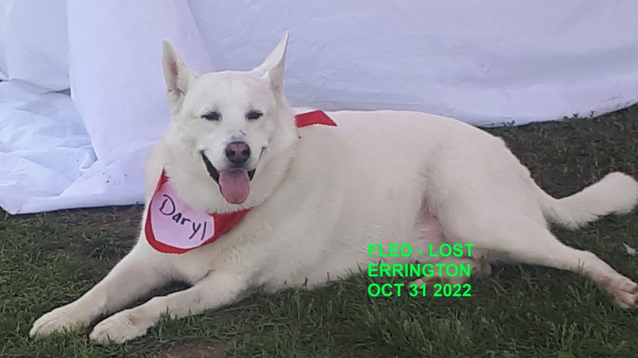 HAPPY ENDINGS - ERRINGTON BC. / DARYL / OCT. 31, 2022