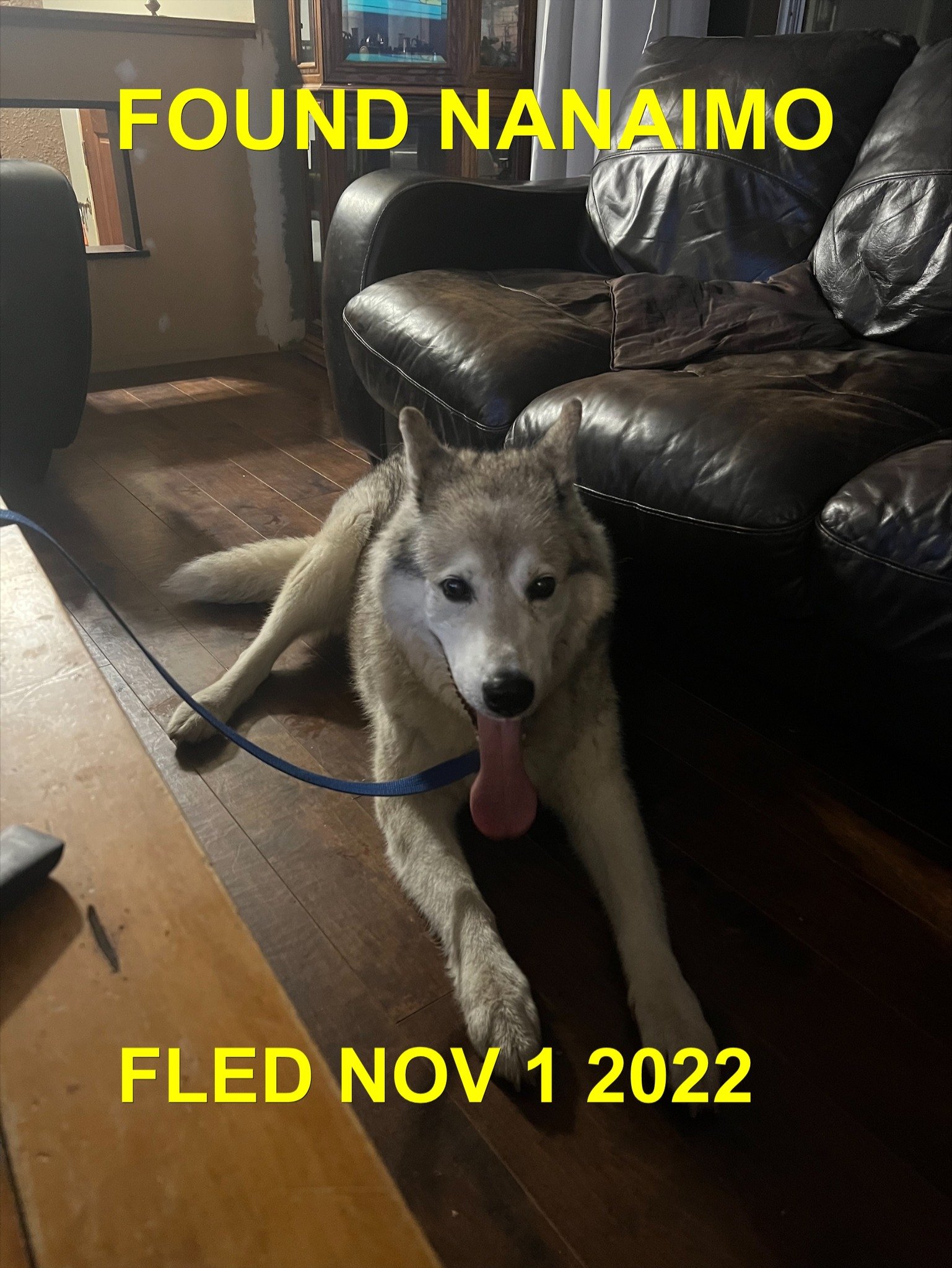 HAPPY ENDINGS - NANAIMO BC. / OCT. 31, 2022