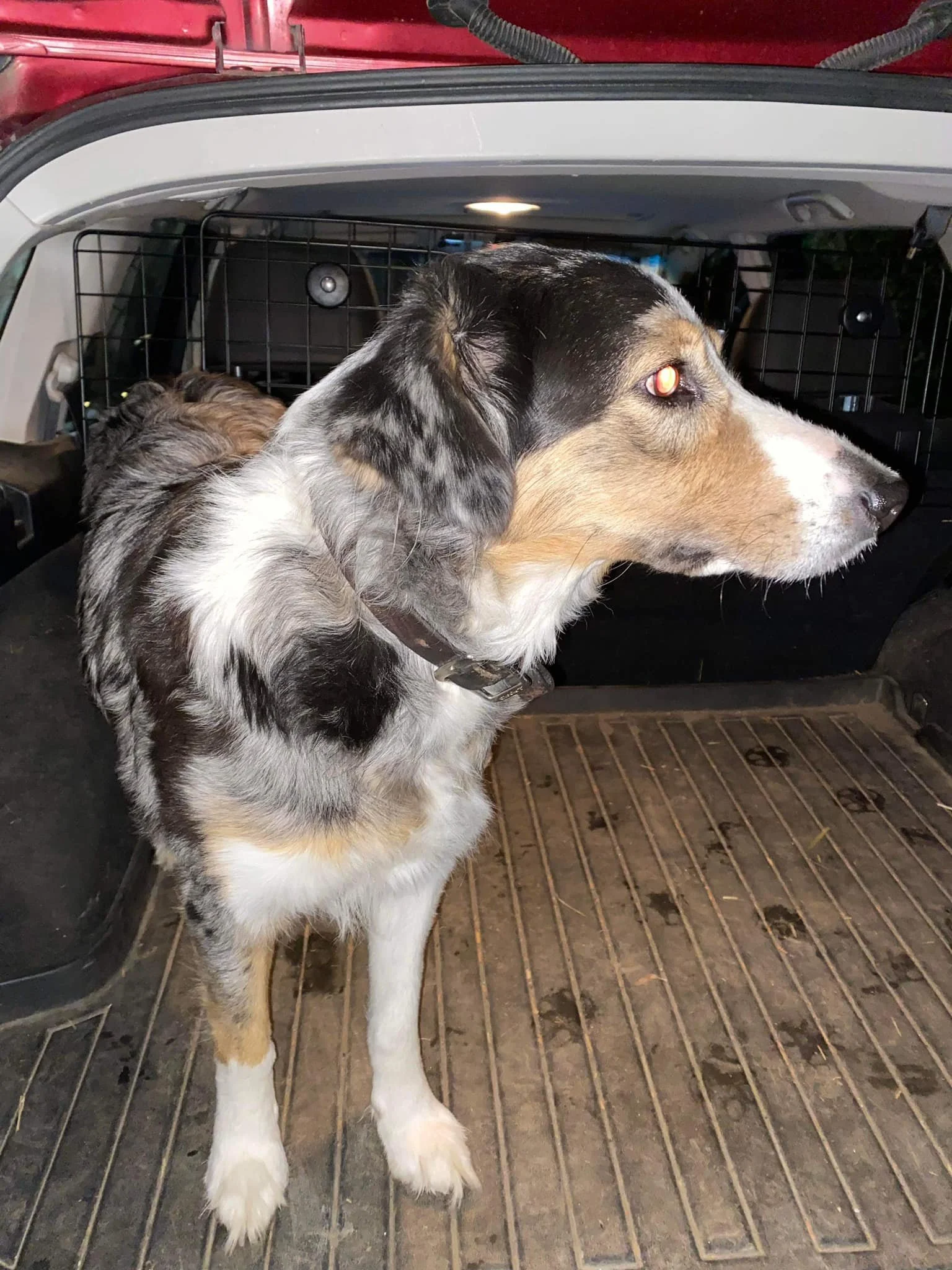 HAPPY ENDINGS - DUNCAN BC. / OCT. 31, 2022