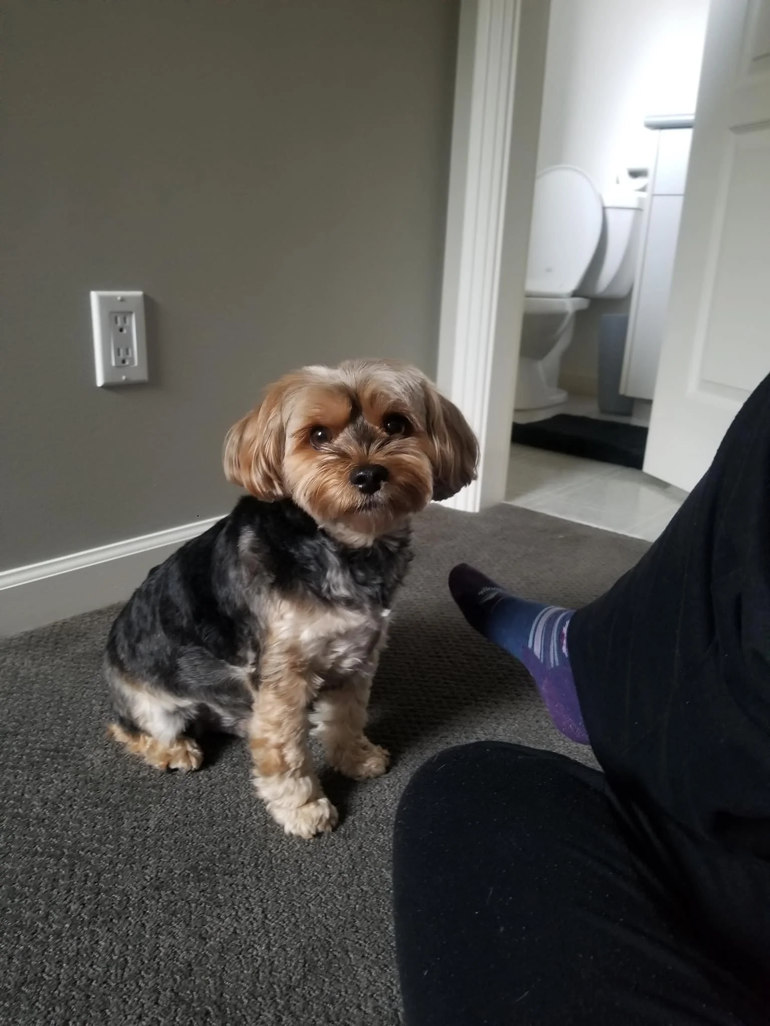 HAPPY ENDINGS - SAANICH BC. / OCT. 31, 2022