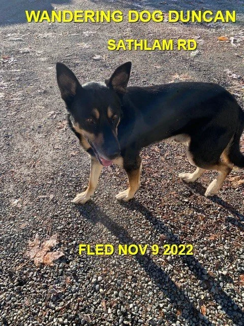 HAPPY ENDINGS - DUNCAN BC. / NOV. 9, 2022