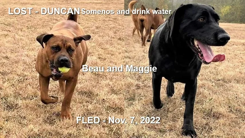 HAPPY ENDINGS - DUNCAN BC. / BEAU &amp; MAGGIE / NOV. 6, 2022