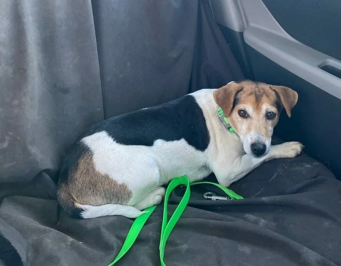 HAPPY ENDINGS - CROFTON BC. / NOV 3, 2022