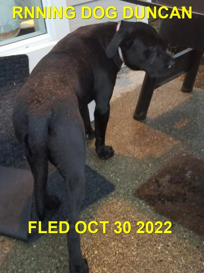 UNRESOLVED - DUNCAN BC. / OCT. 31, 2022