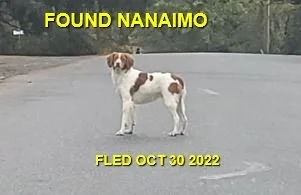 HAPPY ENDINGS - NANAIMO BC. / OCT 30, 2022